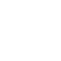 euro